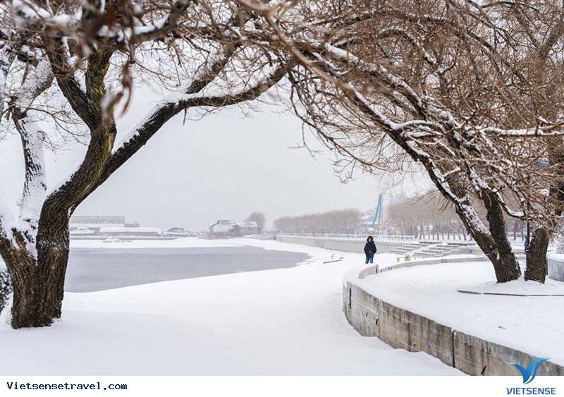 Cảnh quan mùa đông Vladivostok